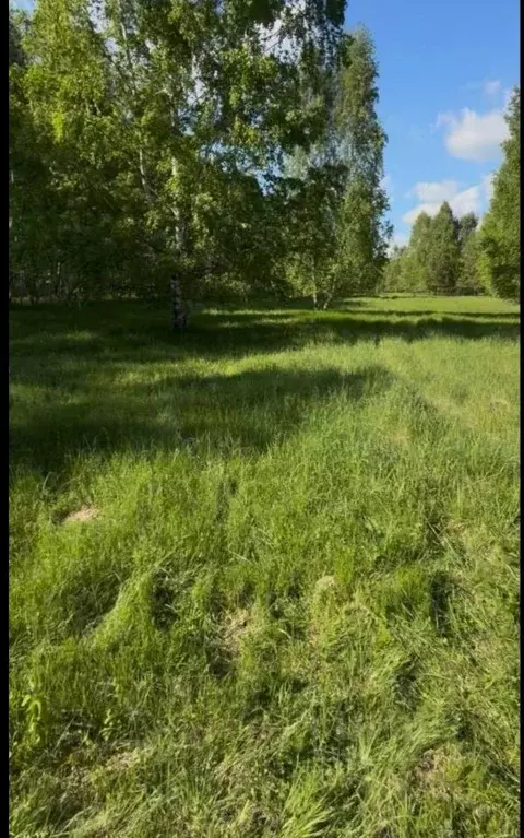 Участок в Нижегородская область, Воротынский муниципальный округ, с. ... - Фото 1