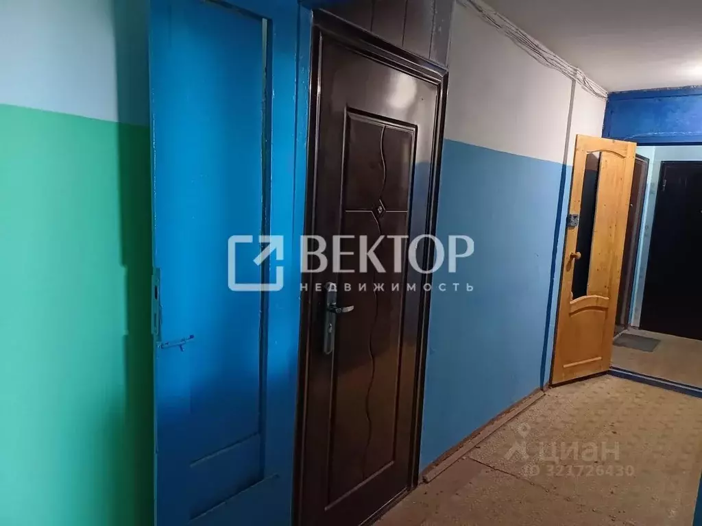 1-к кв. Ивановская область, Шуя Южное ш., 10А (28.0 м) - Фото 0