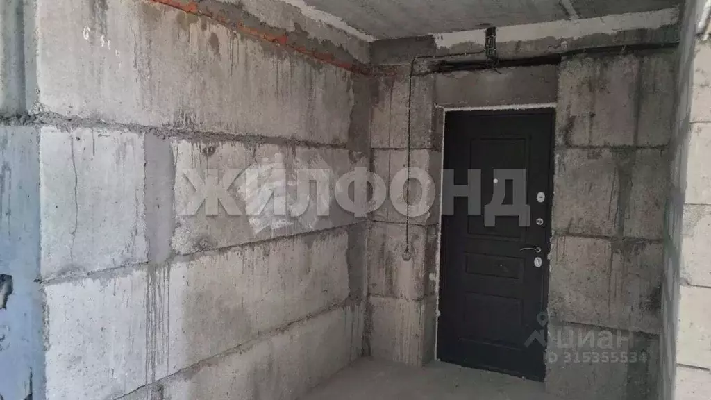 3-к кв. Новосибирская область, Новосибирск ул. Ивлева, 160 (61.8 м) - Фото 1
