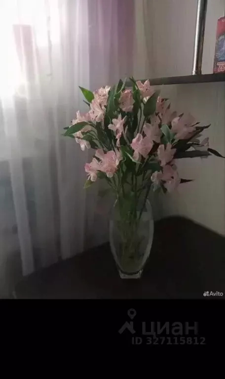 1-к кв. Омская область, Омск Привокзальный мкр, ул. Академика Павлова, ... - Фото 1