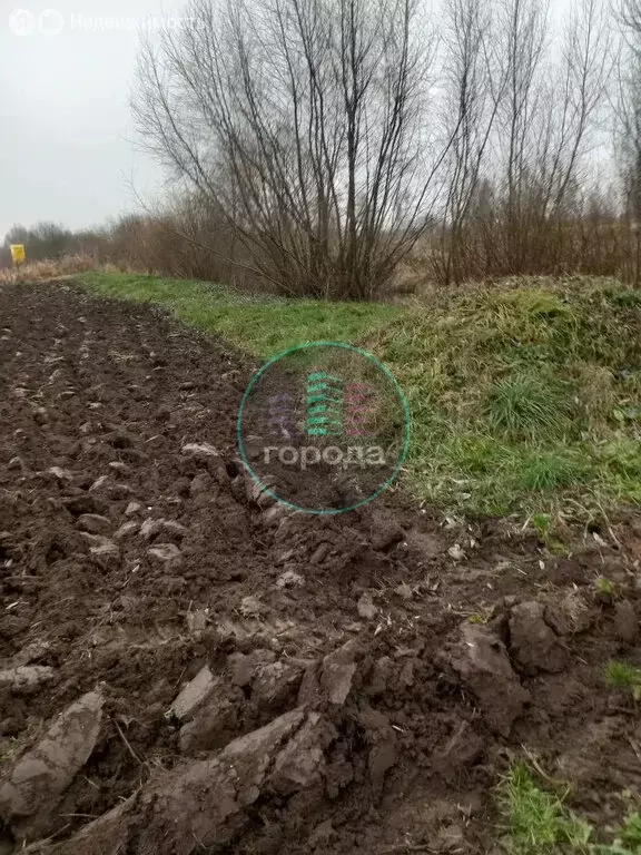 Участок в Московская область, Раменский муниципальный округ, село ... - Фото 1