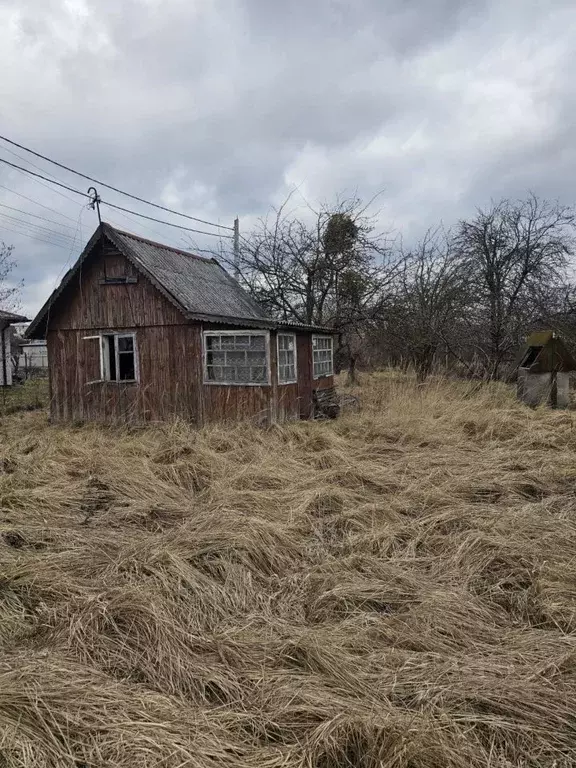 Участок в Калининградская область, Калининград Янтарь СНТ, 7-я линия ... - Фото 2