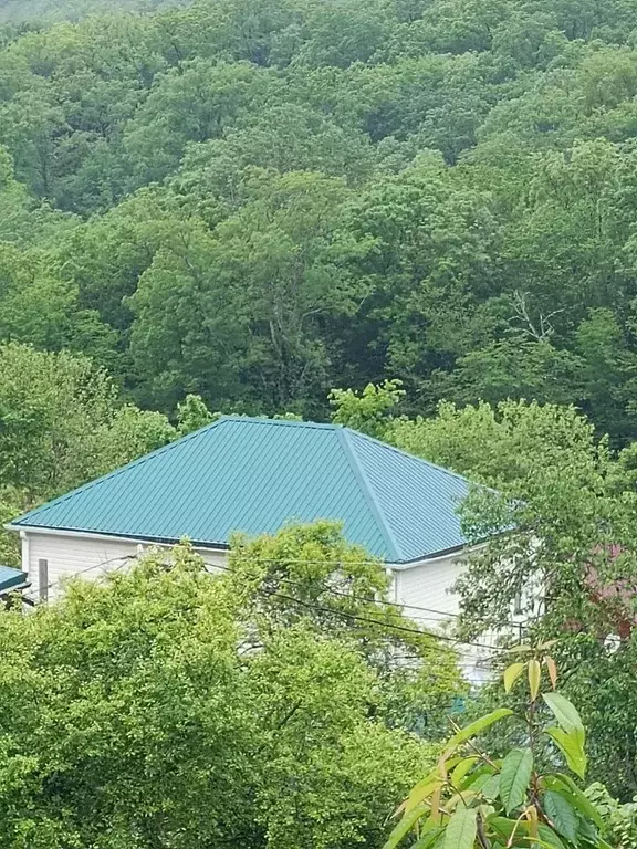 Дом в Краснодарский край, Сочи Малый Ахун мкр, ул. Дорога на Большой ... - Фото 1