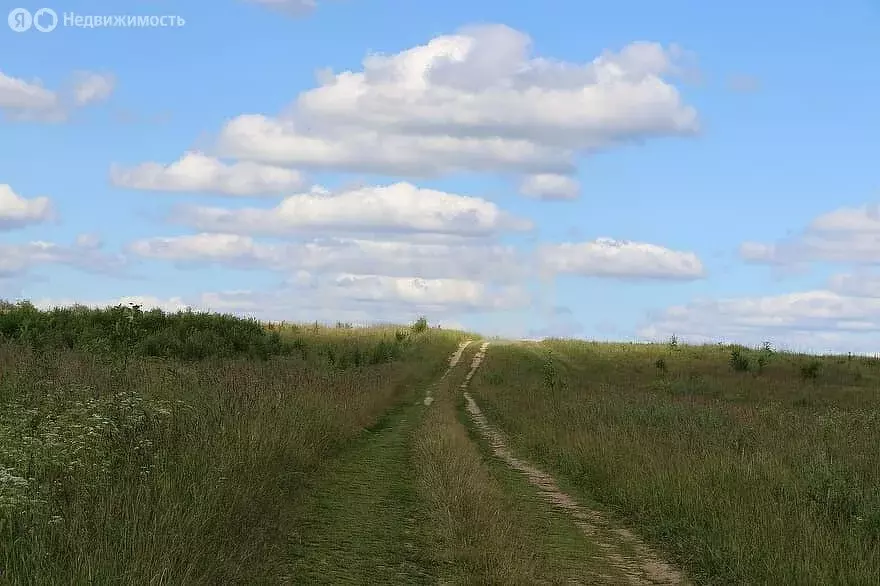 Участок в Красносельский район, Гридинское сельское поселение (1209.9 ... - Фото 1