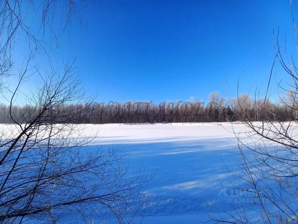 Участок в Алтайский край, Красногорский район, пос. Долина Свободы ул. ... - Фото 1