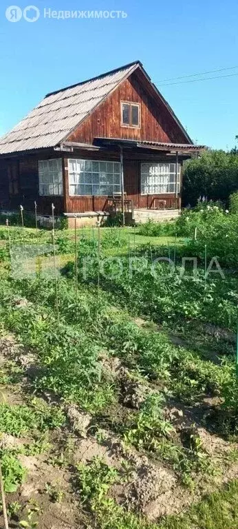 Участок в Новосибирск, СНТ Дорожник, 7 (8.8 м) - Фото 1