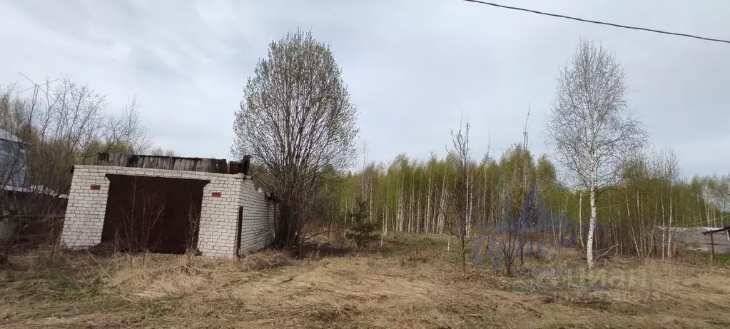 Участок в Нижегородская область, Городецкий муниципальный округ, д. ... - Фото 0