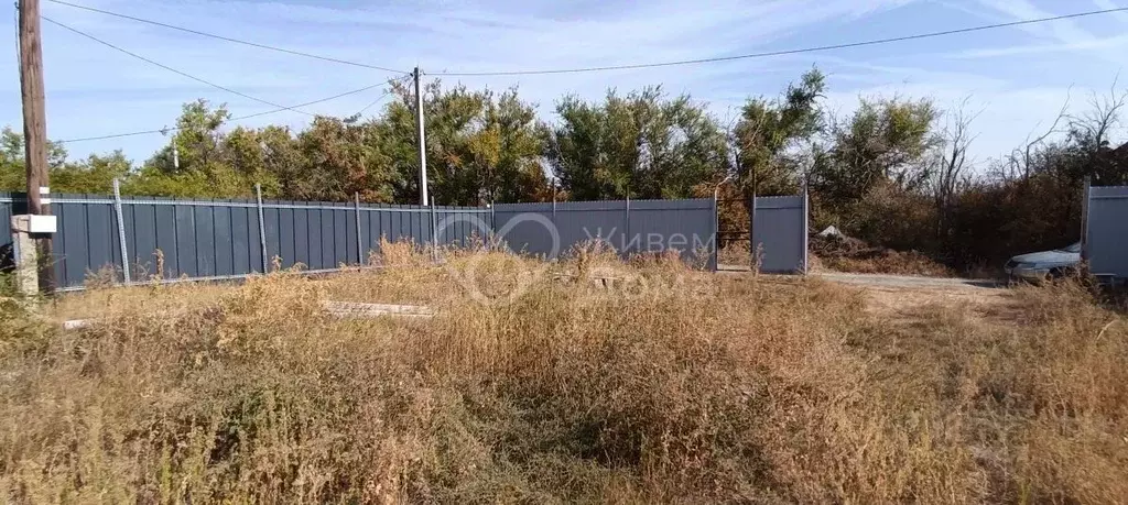 Участок в Волгоградская область, Волгоград Берендей СНТ, 3-я линия ... - Фото 0