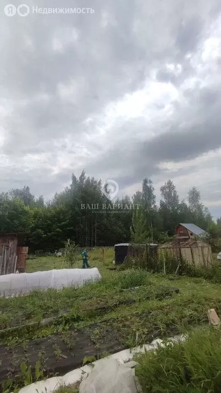Дом в Рыбинск, улица Поречье, 7 (30 м) - Фото 1