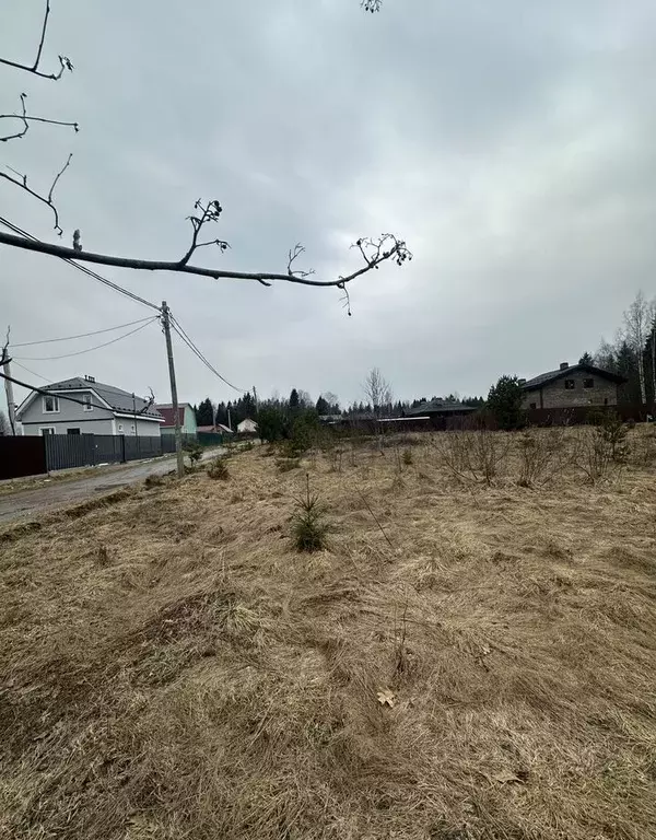 Участок в Ленинградская область, Всеволожский район, Куйвозовское ... - Фото 2