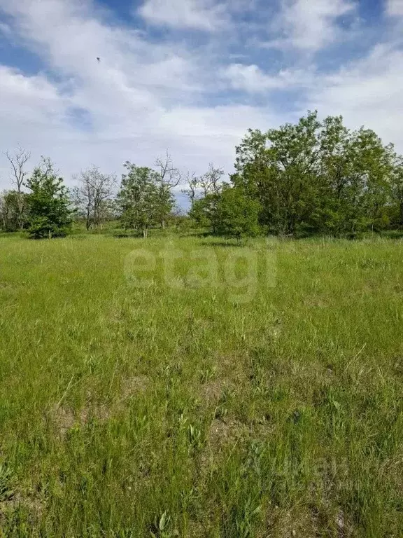 Участок в Краснодарский край, Ейский район, Кухаривское с/пос, с. ... - Фото 1