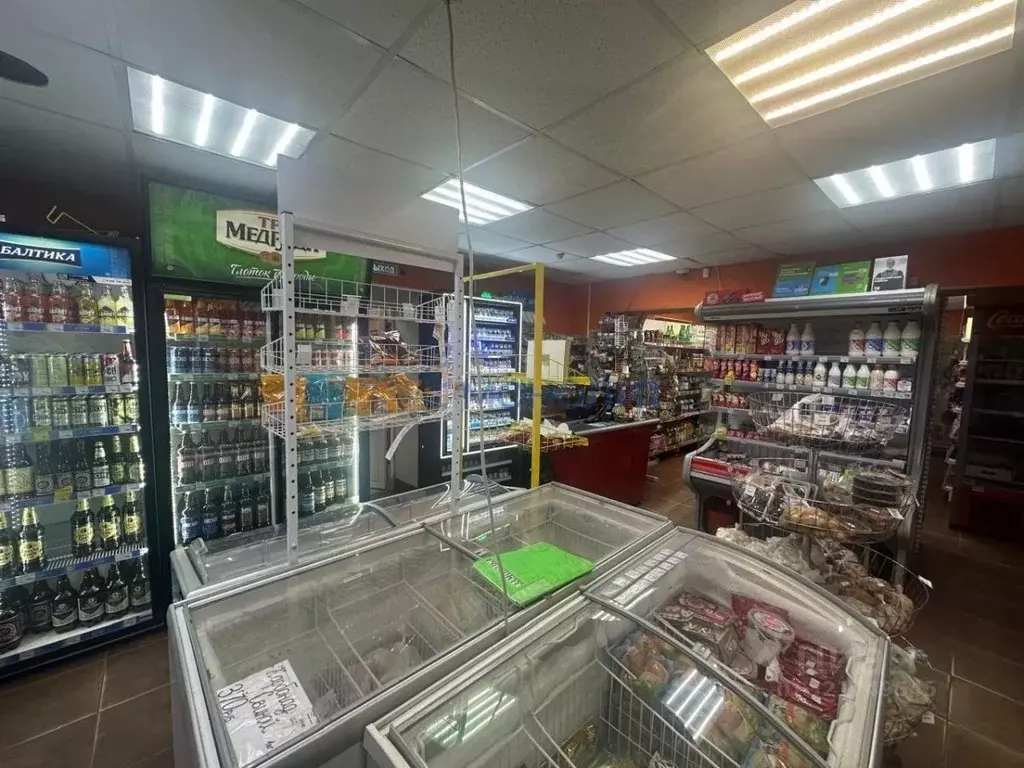 Торговая площадь в Нижегородская область, Нижний Новгород Снежная ул. ... - Фото 1