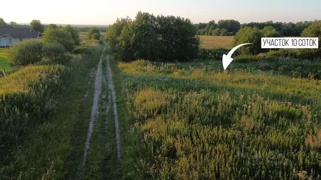 Участок в Ленинградская область, Ломоносовский район, Лопухинское ... - Фото 1