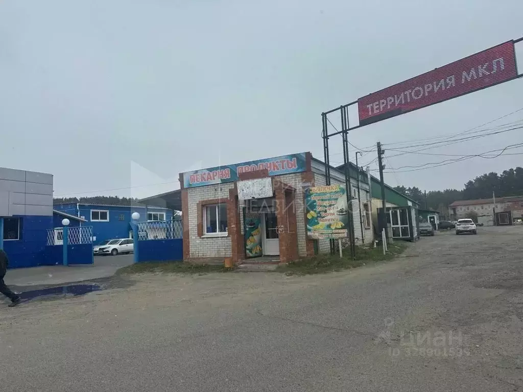Помещение свободного назначения в Тюменская область, Заводоуковск пер. ... - Фото 1