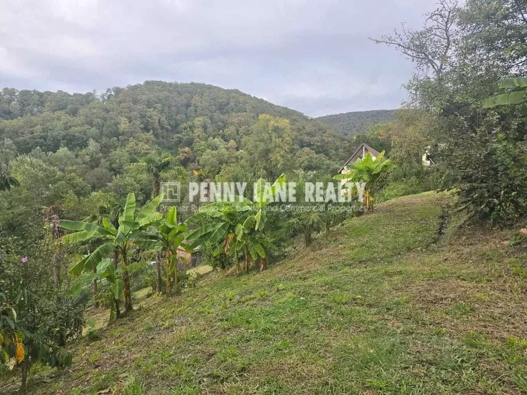 Участок в Краснодарский край, Сочи Новороссийское ш. (14.0 сот.) - Фото 2