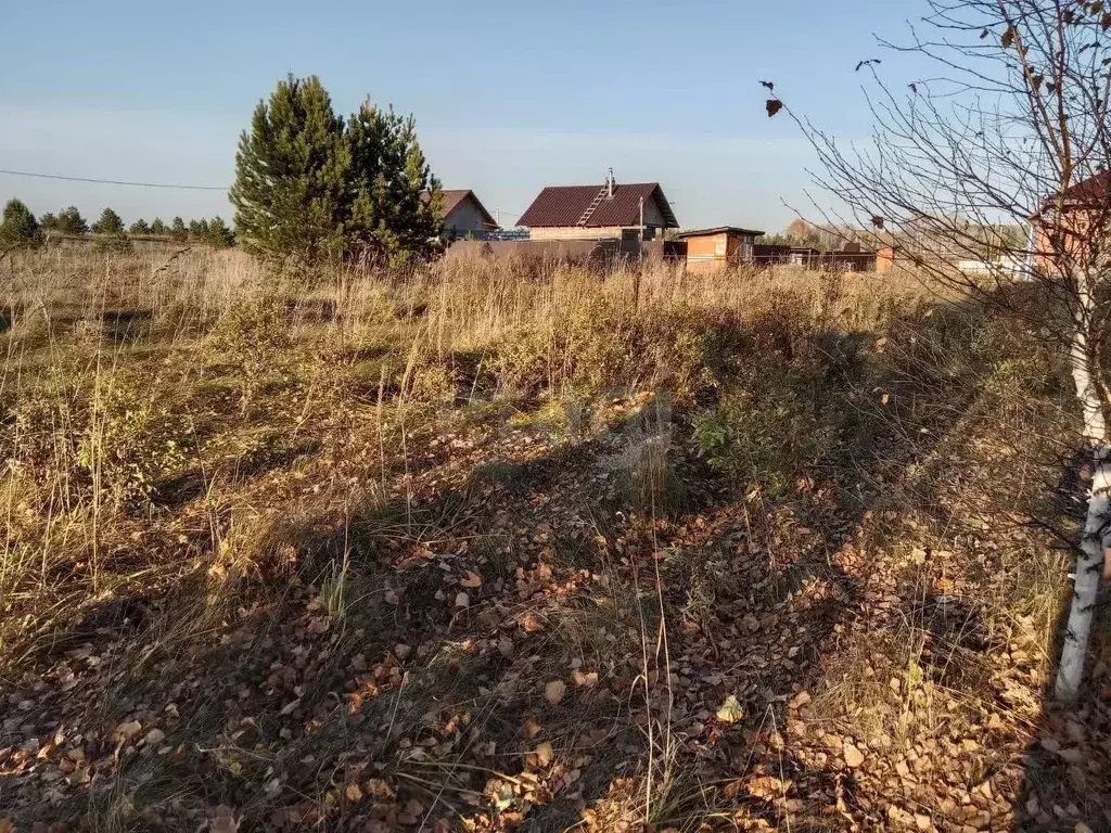 Участок в Алтайский край, Первомайский район, с. Фирсово, Рощино мкр ... - Фото 1