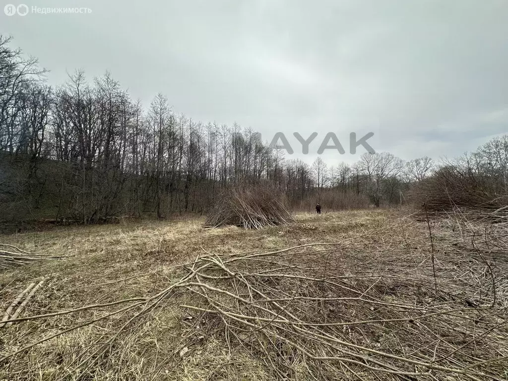 Участок в посёлок Тульский, СТ Русь (13 м) - Фото 1