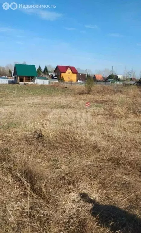 Участок в Колыванский район, СНТ Авиастроитель (11.8 м) - Фото 0