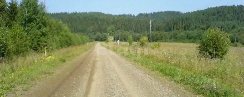 Участок в Пермский край, Оханский муниципальный округ, д. Березовка  ... - Фото 2