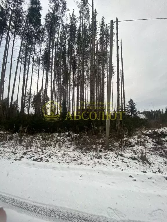 Участок в Свердловская область, Ревда (10 м) - Фото 2