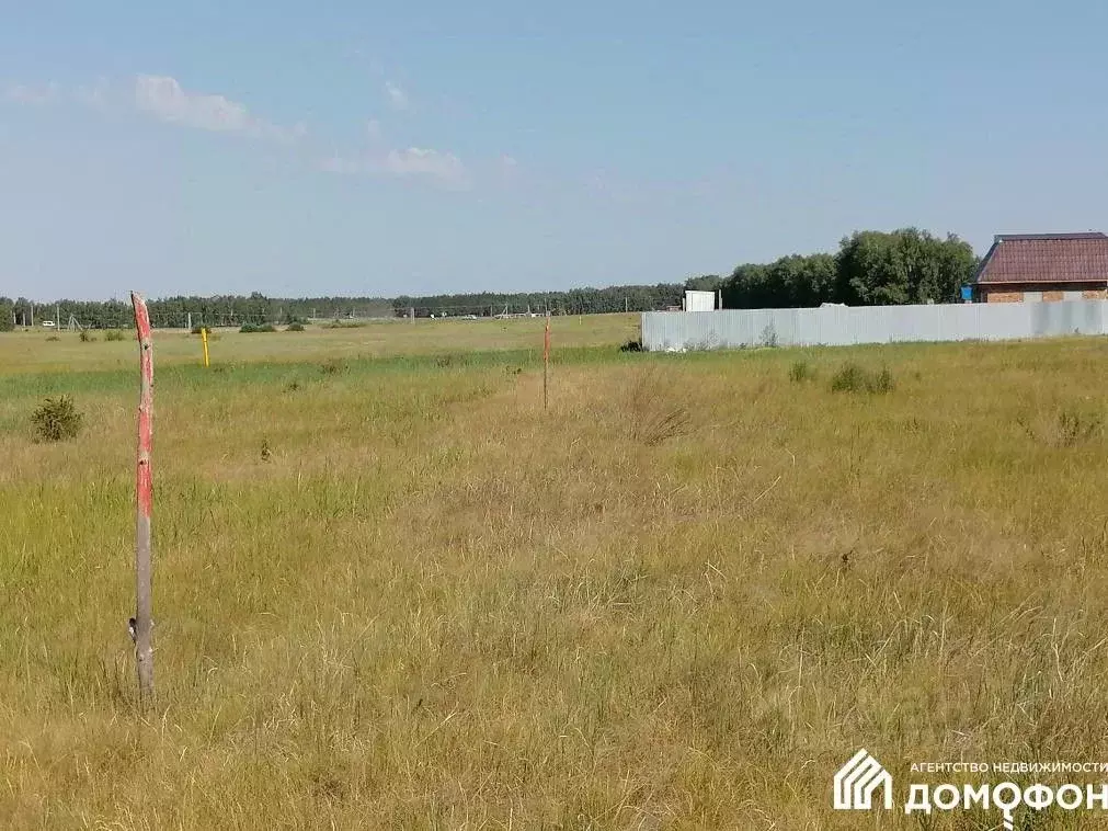 Участок в Омская область, Омский район, с. Усть-Заостровка ул. Мира ... - Фото 1