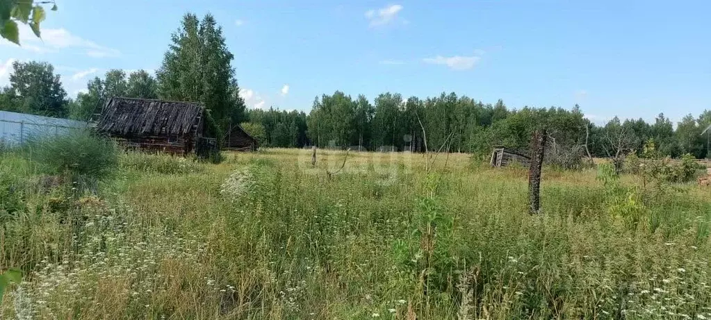 Участок в Владимирская область, Селивановский район, Волосатовское ... - Фото 1