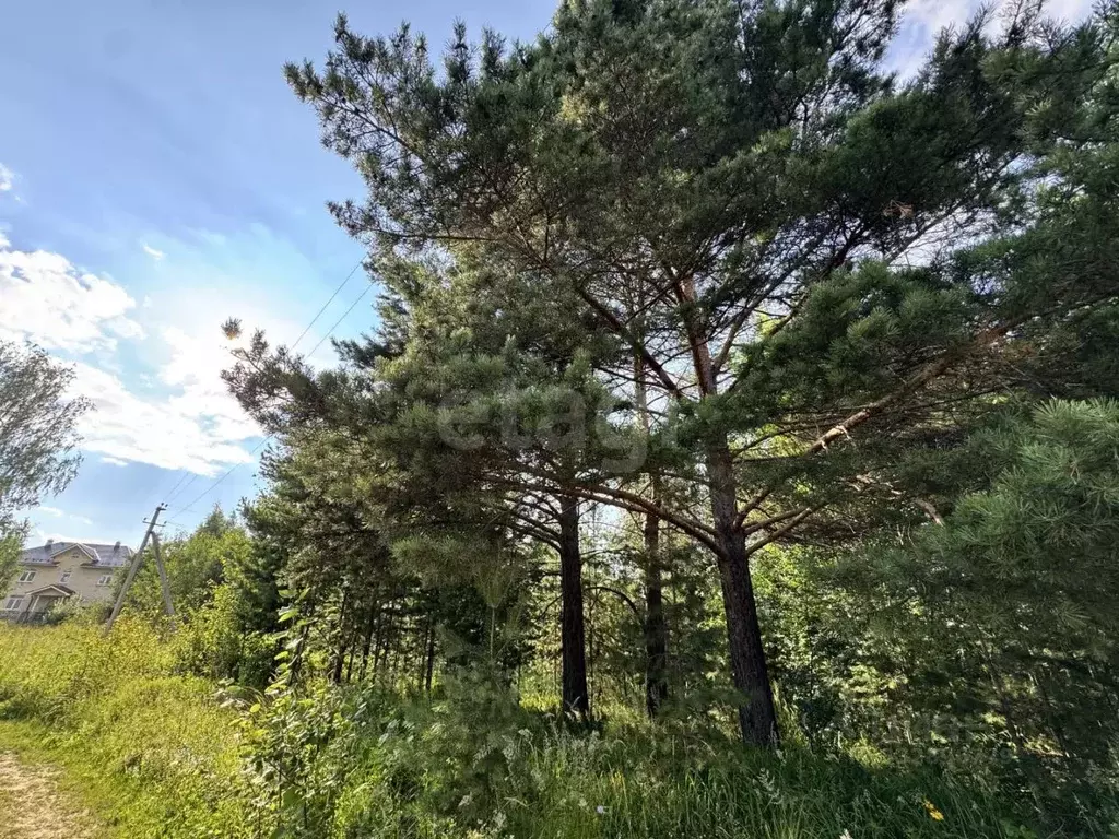 Участок в Свердловская область, Верхнее Дуброво пгт ул. Кузнецова ... - Фото 1
