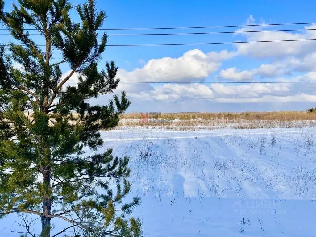 Участок в Тюменская область, Тюменский район, с. Салаирка  (102.2 ... - Фото 0