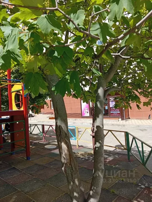 Помещение свободного назначения в Ставропольский край, Ставрополь ул. ... - Фото 2