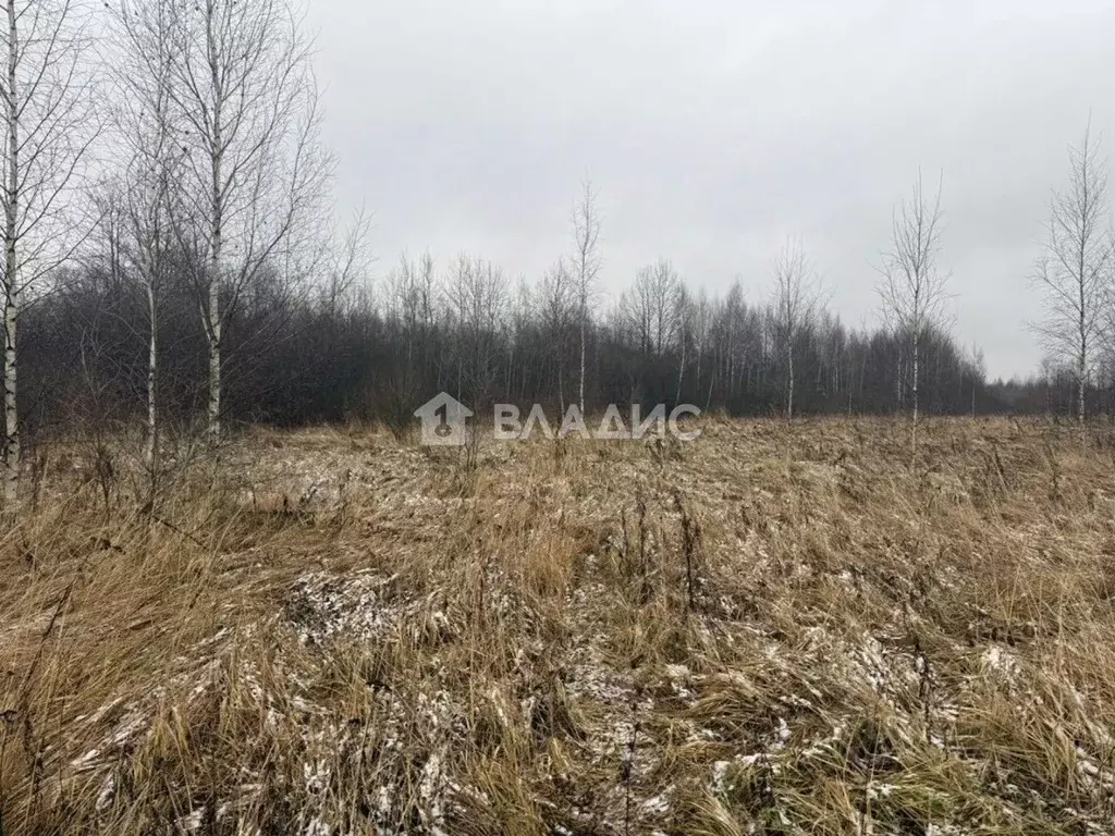 Участок в Ивановская область, Шуйский район, с. Китово ул. 3-я Мира, ... - Фото 1