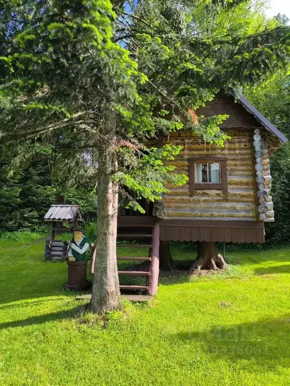 Дом в Алтай, Турочакский район, с. Артыбаш Молодежная ул., 19А (12 м) - Фото 0
