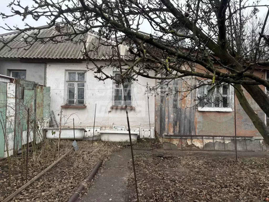 Дом 50,7 м на участке 3 сот. - Фото 1