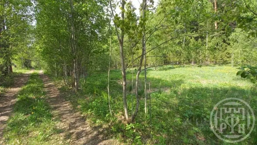 Участок в Ленинградская область, Приозерский район, Севастьяновское ... - Фото 2