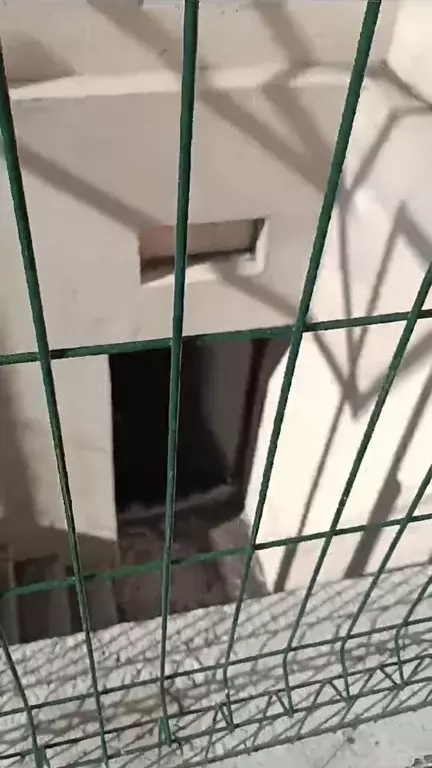 Помещение свободного назначения в Новосибирская область, Новосибирск ... - Фото 2