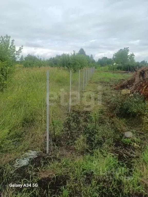 Участок в Алтайский край, Первомайский район, Феникс СНТ ул. 8-я, 72 ... - Фото 1