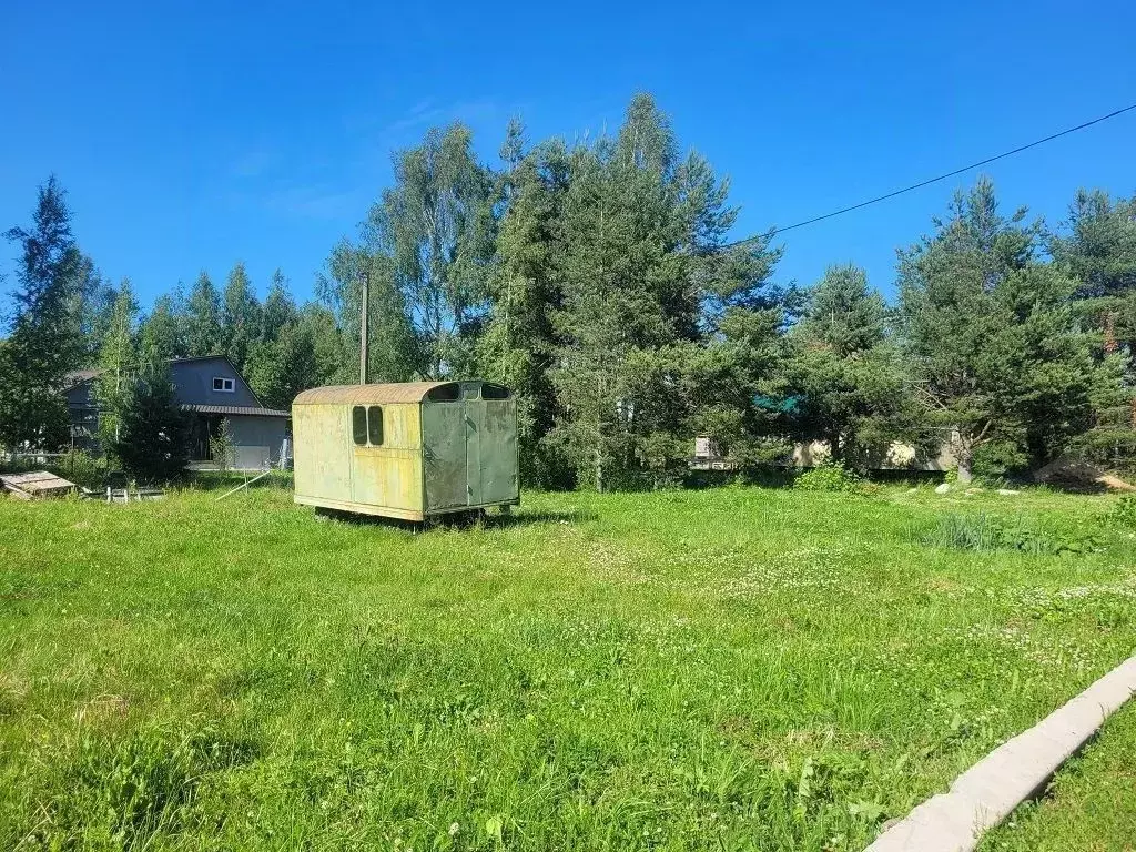 Участок в Ленинградская область, Ломоносовский район, Лебяженское ... - Фото 1