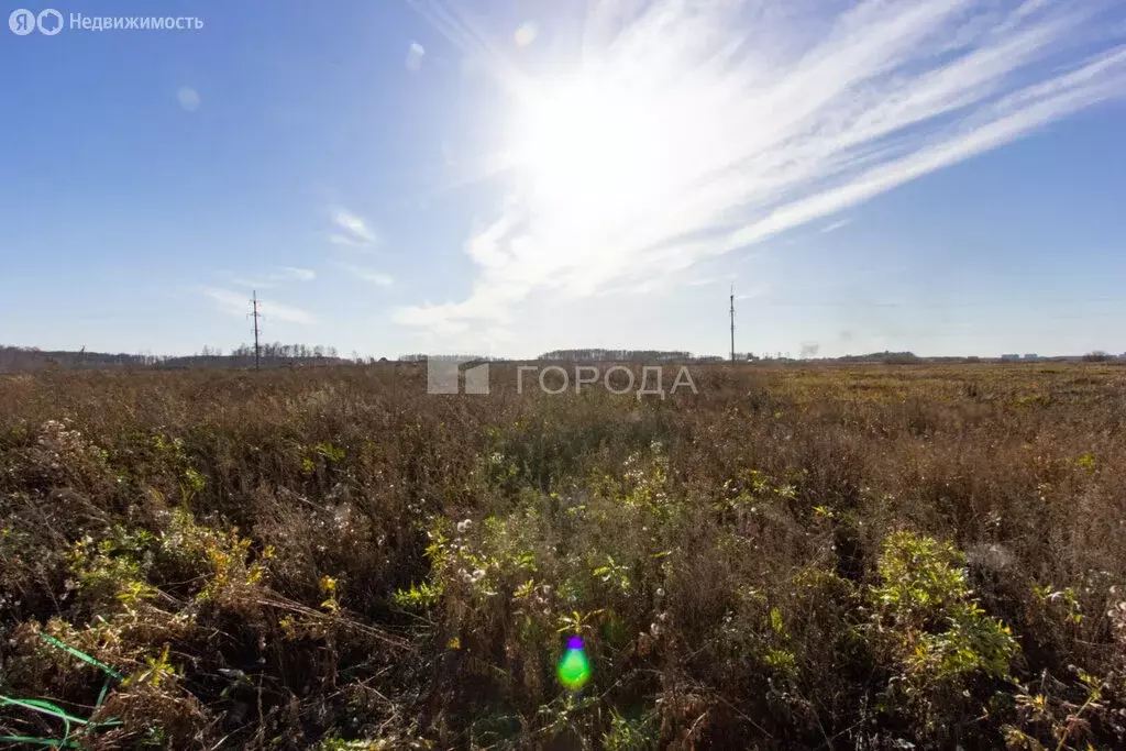 Участок в Криводановский сельсовет, СНТ Рябинка (9.39 м) - Фото 1