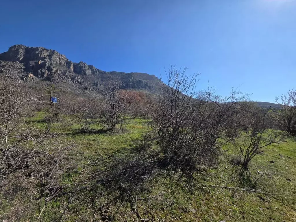 Участок в Крым, Алушта муниципальный округ, с. Лучистое ул. Имени Ю. ... - Фото 1