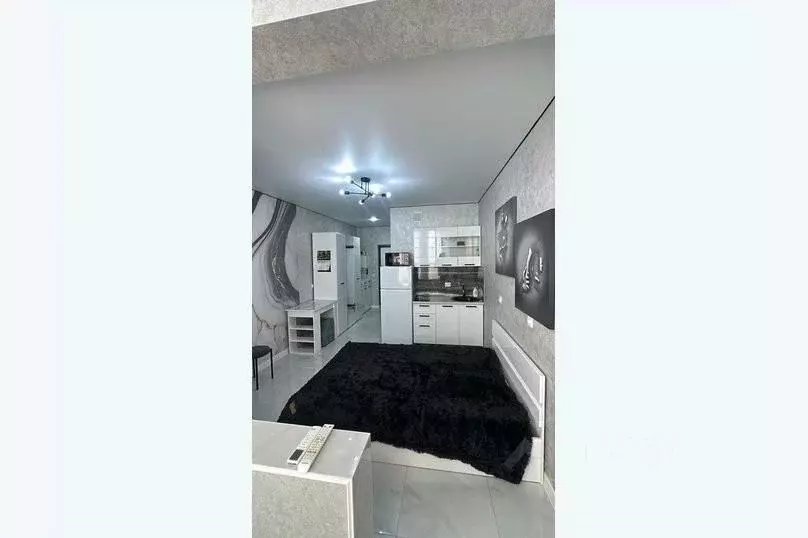 1-к кв. Адыгея, Майкоп ул. К.А. Васильева, 2к2 (20.0 м) - Фото 2