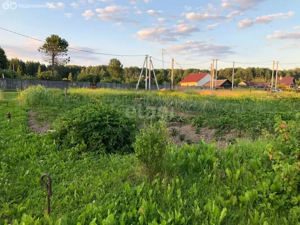 Участок в деревня Белая, посёлок 83-й километр (4.3 м) - Фото 0