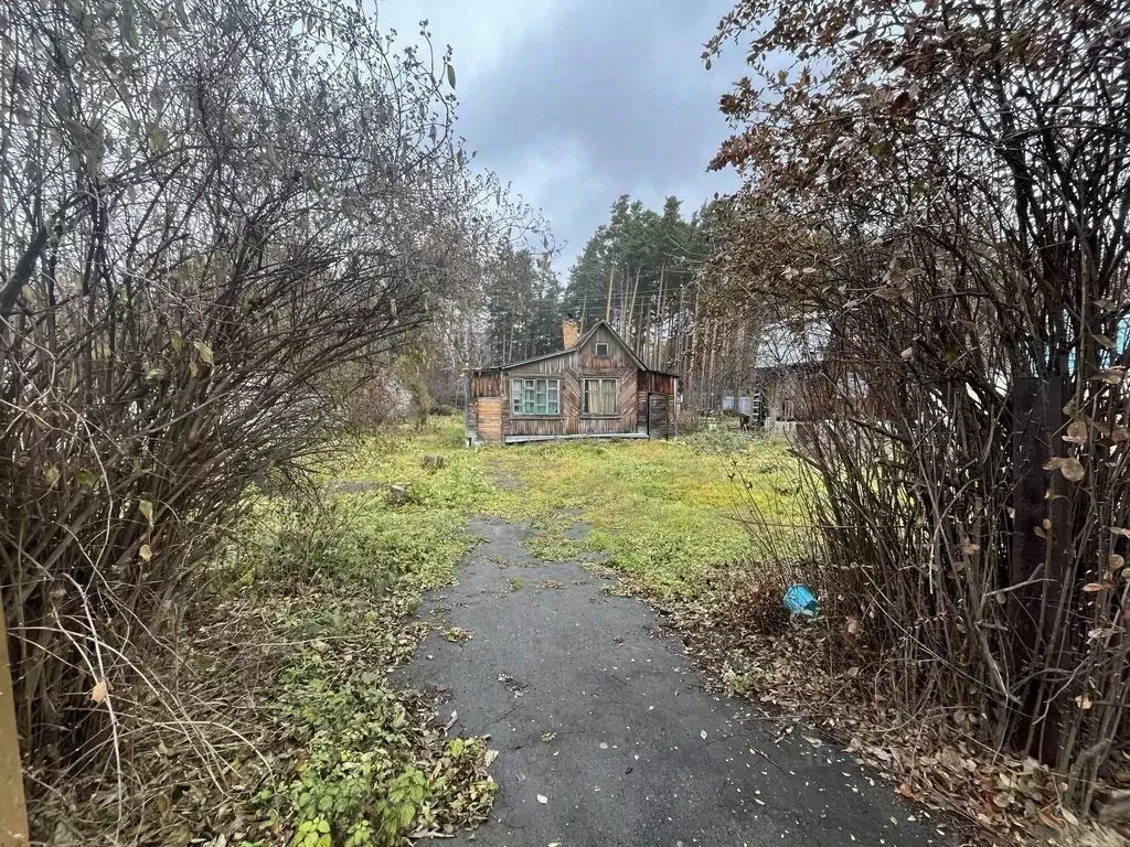 Участок в Свердловская область, Екатеринбург Вишневая Станица ТСН, 44 ... - Фото 2