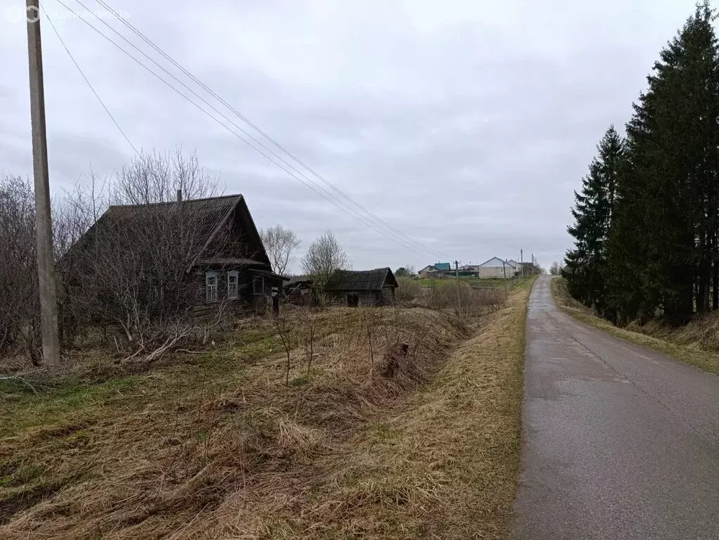 Дом в Великолукский район, Лычёвская волость, деревня Букино (35 м) - Фото 2