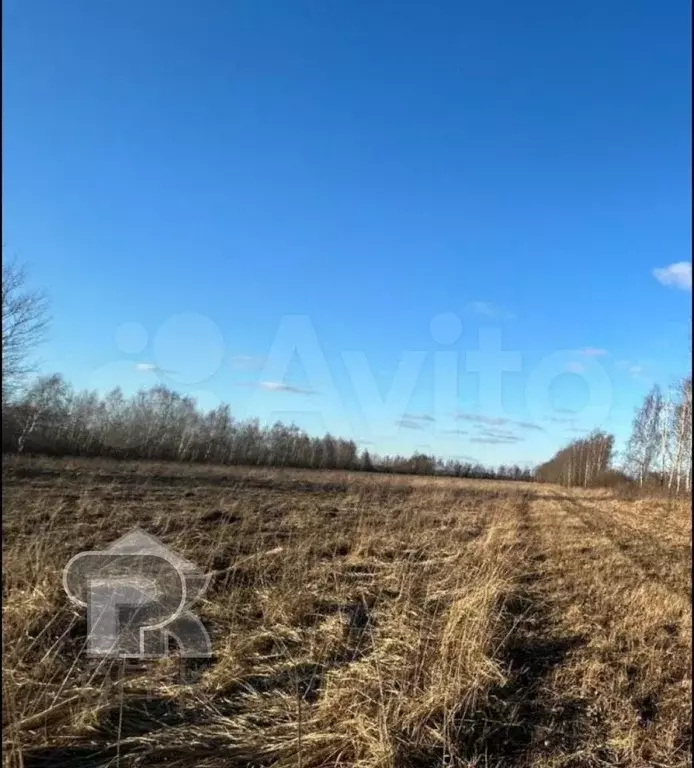 Участок 10 сот. (СНТ, ДНП) - Фото 0