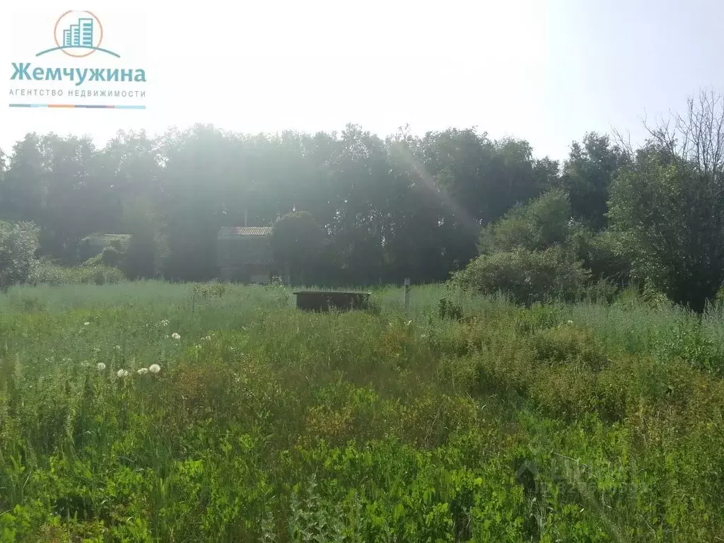 Участок в Ульяновская область, Димитровград ул. Комарова, 13 (5.0 ... - Фото 2