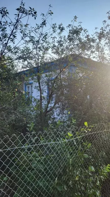 Дом в Волгоградская область, Киквидзенский район, с. Завязка  (72 м) - Фото 1