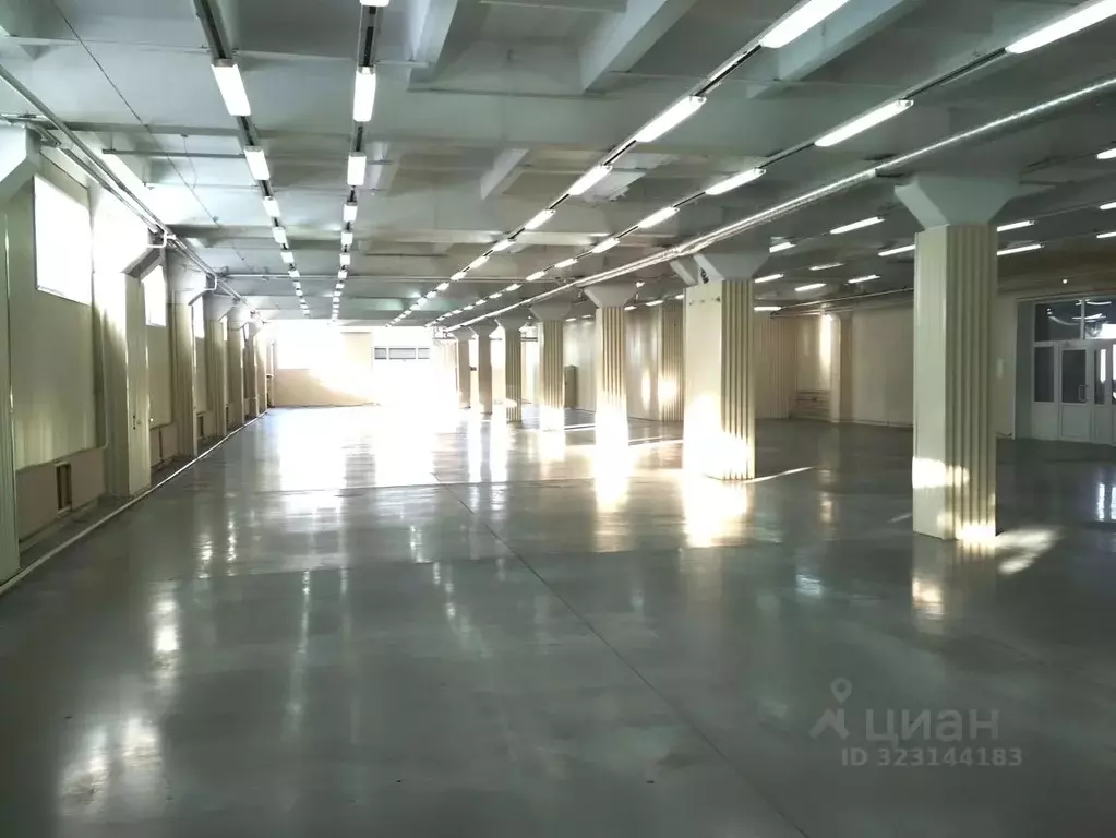 Торговая площадь в Новосибирская область, Искитим Советская ул., 219 ... - Фото 2