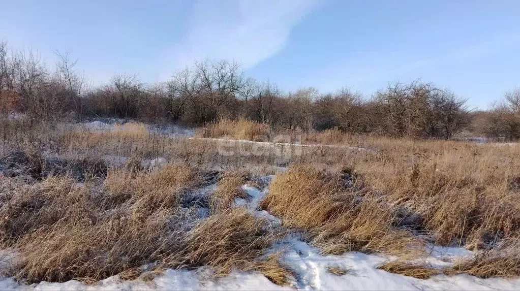 Участок в Мордовия, Саранск Новинка СНТ,  (5.0 сот.) - Фото 1