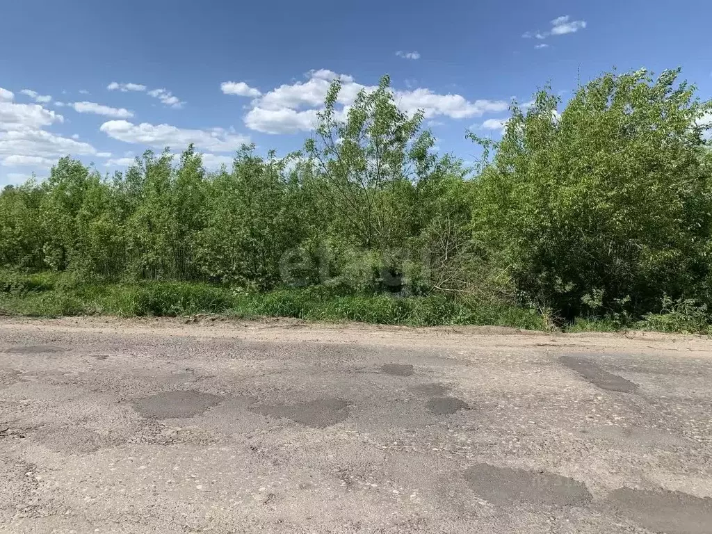 Участок в Костромская область, Ветлужский пгт ул. Первомайская (13.0 ... - Фото 1