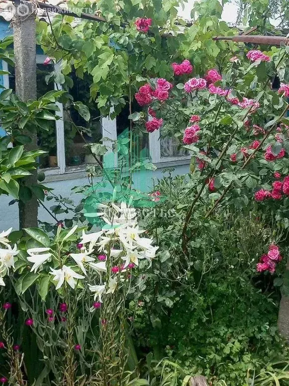 Дом в Республика Крым, муниципальный округ Феодосия, село Южное, ... - Фото 1