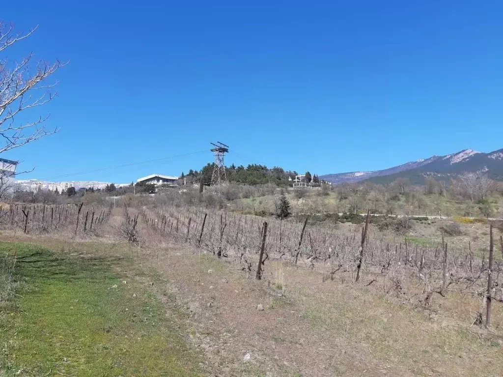 Участок в Крым, Ялта муниципальный округ, Отрадное пгт ш. Дражинского, ... - Фото 1